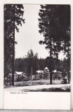 bnk cp Borsec - Vedere - circulata