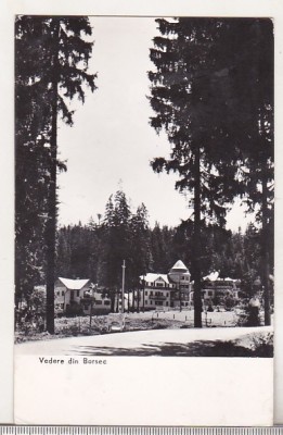 bnk cp Borsec - Vedere - circulata foto