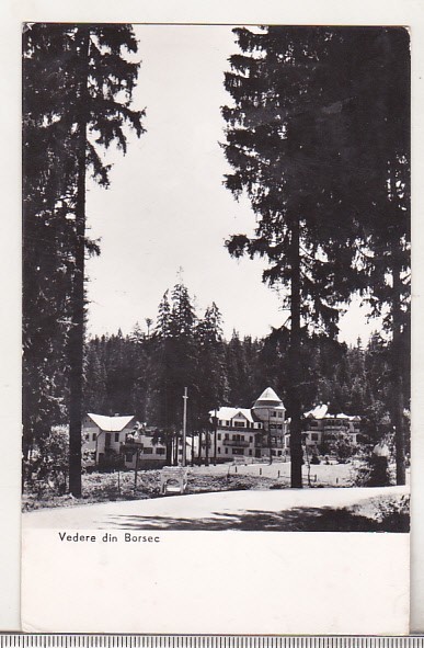 bnk cp Borsec - Vedere - circulata