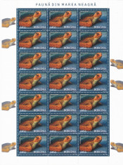 -20%,FAUNA DIN MAREA NEAGRA,2007,MINICOLI 21 TIMBRE,NEUZATE, MNH,ROMANIA. foto