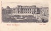 BUCURESTI PALATUL REGAL,LITHO!,NECIRCULATA ,ROMANIA., Fotografie
