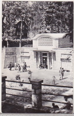 bnk cp Borsec - Izvorul principal de apa minerala - circulata foto