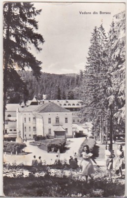 bnk cp Borsec - Vedere - circulata foto