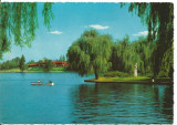 (A) carte postala(1134/7)-KRUGER-Bucuresti-Parcul Herastrau, Necirculata, Printata