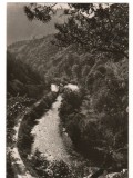 CPI B 10378 - CARTE POSTALA - PEISAJ PE VALEA SEBESULUI, RPR, Circulata, Fotografie