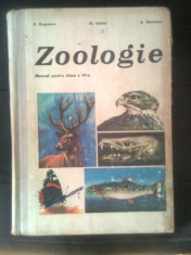 Zoologie - Manual clasa a VI-a - Bogoescu; Dabija; Stoicescu (1976) foto