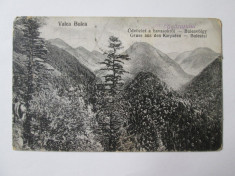 Carte postala Valea Bulea/Muntii Fagaras circulata 1927 foto