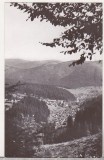 bnk cp Borsec - Vedere generala - circulata