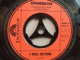 SPRINGWATER - I WILL RETURN/STONE CROSS (1971/POLYDOR/RFG) - VINIL Single/RAR, Pop