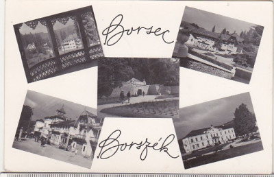 bnk cp Borsec - Vedere - circulata foto