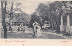 ORASTIE PARCUL,LITHO!,NECIRCULATA ,ROMANIA. foto