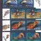FAUNA DIN MAREA NEAGRA,2007,2X SERII CU MARGINE,2007,NEUZATE, MNH,ROMANIA.