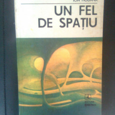 Ion Hobana - Un fel de spatiu (Editura Albatros, 1988)