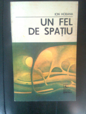 Ion Hobana - Un fel de spatiu (Editura Albatros, 1988) foto