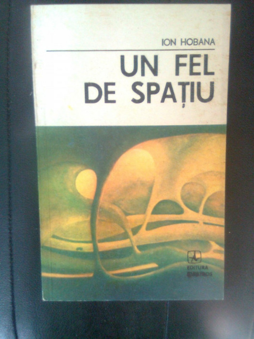 Ion Hobana - Un fel de spatiu (Editura Albatros, 1988)