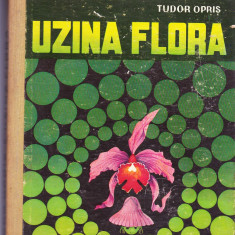 UZINA FLORA -TUDOR OPRIS