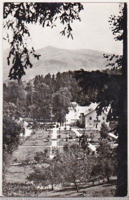 bnk cp Sangeorz Bai - Vedere din parc - circulata foto