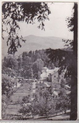 bnk cp Sangeorz Bai - Vedere din parc - circulata foto