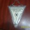 Fanion Consfatuirea Arbitrilor Timisoara