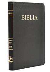 Biblie mare SBR 073 P foto