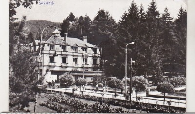 bnk cp Sovata - Vedere din statiune - circulata foto