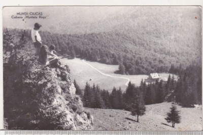 bnk cp Muntii Ciucas - Cabana Muntele Rosu - circulata foto