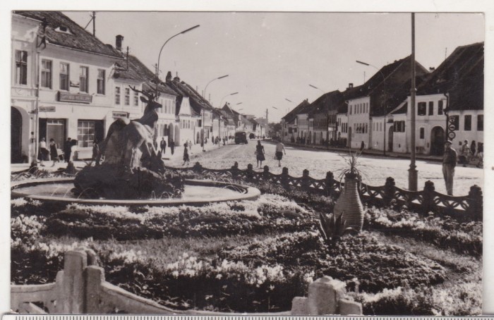 bnk cp Cisnadie - Vedere - circulata