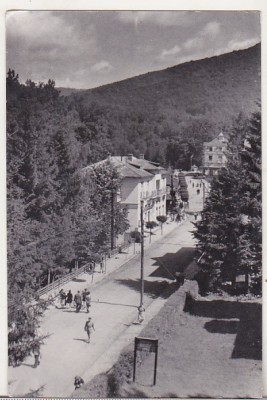 bnk cp Sovata - Vedere - circulata foto
