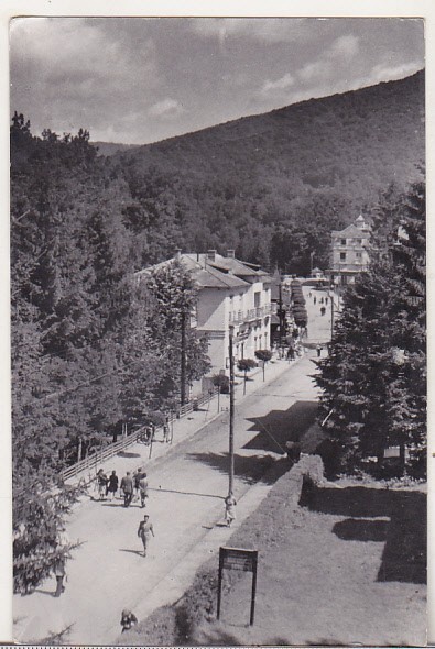 bnk cp Sovata - Vedere - circulata