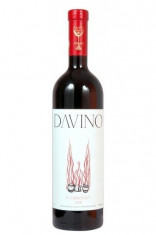 Vin rosu sec Davino, Flamboyant, 750 ml foto