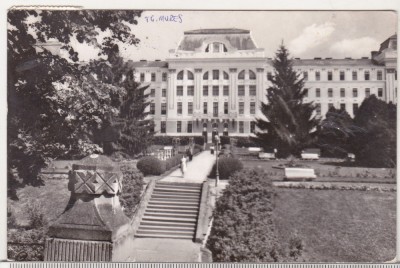 bnk cp Targu Mures - Institutul de medicina si farmacie - circulata foto