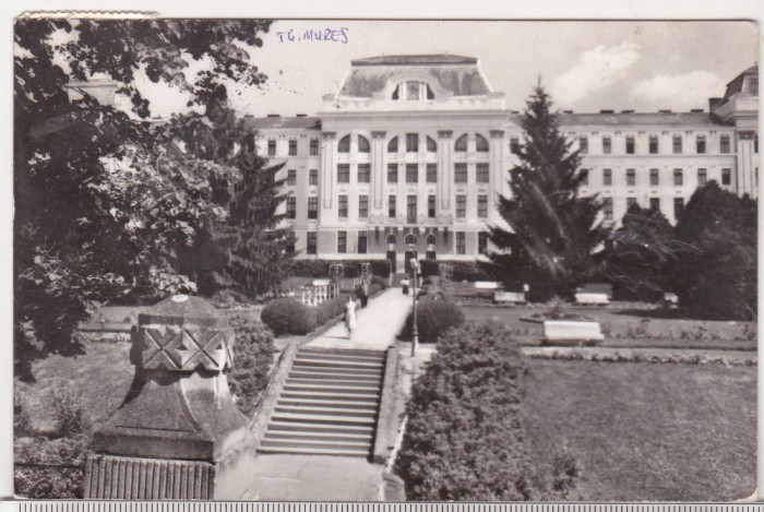 bnk cp Targu Mures - Institutul de medicina si farmacie - circulata