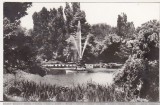 bnk cp Bucuresti - Gradina Cismigiu - uzata
