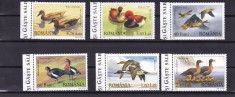 ROMANIA 2007 LP 1771 RATE SI GASTE SALBATICE SERIE MNH foto