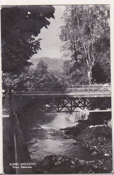 bnk cp Slanic Moldova - Valea Slanicului - circulata