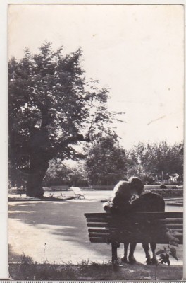 bnk cp Iasi - Teiul lui Eminescu din gradina Copou - circulata foto