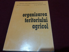 ION BOLD - ORGANIZAREA TERITORIULUI AGRICOL 2003 foto