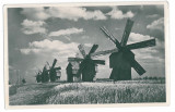 1033 - Moldova, WINDMILLS IN BESSARABIA - old postcard, real PHOTO - unused, Necirculata, Fotografie