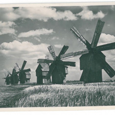 1033 - Moldova, WINDMILLS IN BESSARABIA - old postcard, real PHOTO - unused