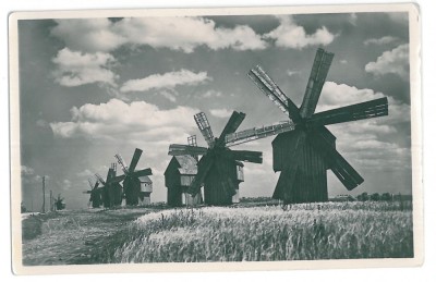 1033 - Moldova, WINDMILLS IN BESSARABIA - old postcard, real PHOTO - unused foto