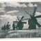 1033 - Moldova, WINDMILLS IN BESSARABIA - old postcard, real PHOTO - unused