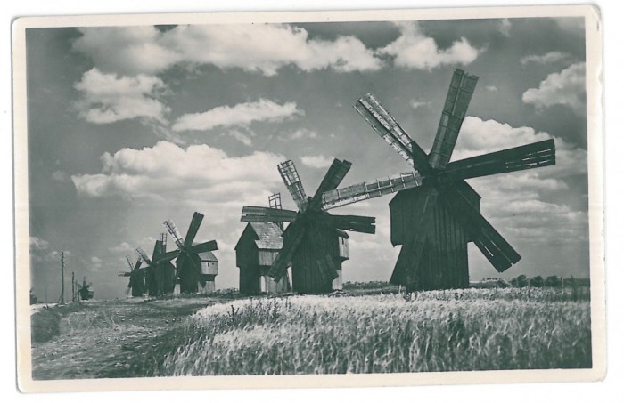 1033 - Moldova, WINDMILLS IN BESSARABIA - old postcard, real PHOTO - unused