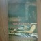 e3 Crime Neelucidate - Colin &amp; Damon Wilson ,