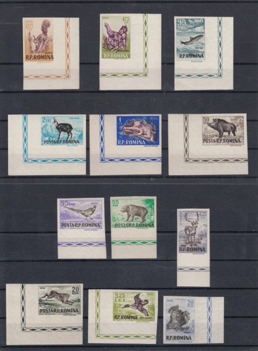 ROMANIA 1956 LP 404 a VANATOAREA SERIE NEDANTELATA MNH ROMANIA 1956 LP 404 a VANATOAREA SERIE NEDANTELATA MNH