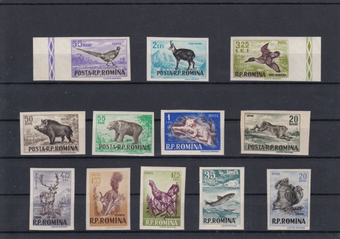 ROMANIA 1956 LP 404 a VANATOAREA SERIE NEDANTELATA MNH ROMANIA 1956 LP 404 a VANATOAREA SERIE NEDANTELATA MNH