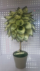 Copacel cu bani - Copac cu bani - Cadou copac cu bani foto