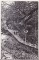 Foto  - 1