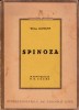 Spinoza