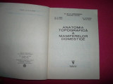 Anatomia topografica a mamiferelor domestice - Gh. M. Constantinescu