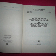 Anatomia topografica a mamiferelor domestice - Gh. M. Constantinescu